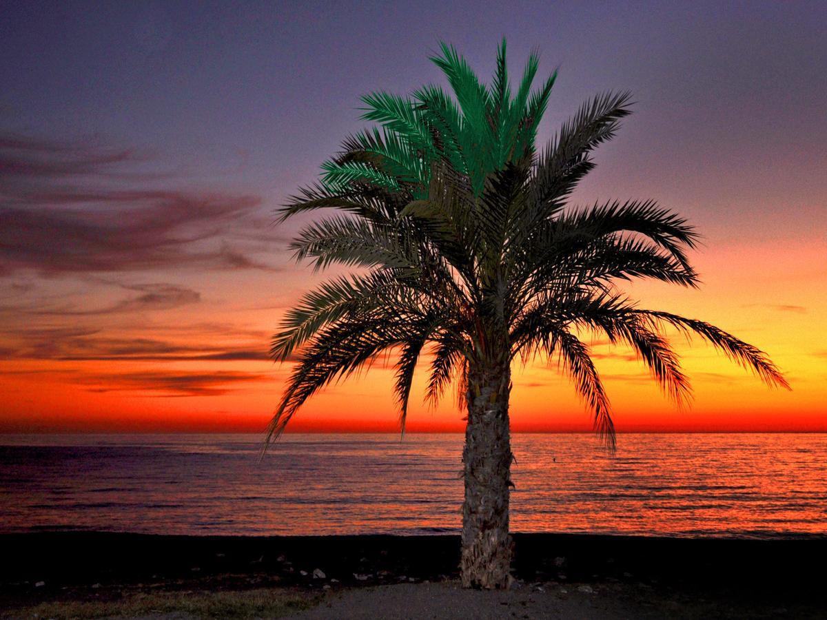 Arrayanes Playa Almunecar Exterior photo